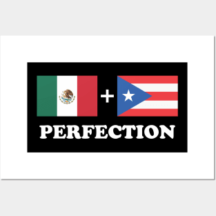 Aesthetic Mexican Plus Puerto Rican Perfection Funny Posters and Art